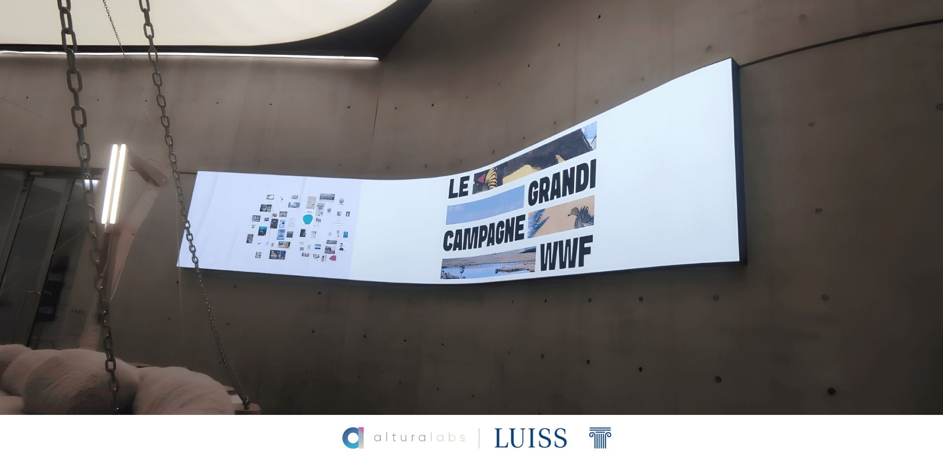 WWF_2